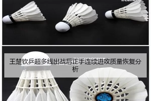 王楚钦乒超多线出战后正手连续进攻质量恢复分析